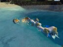 Impossible Creatures