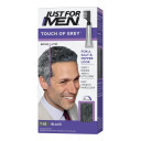 Just For Men Jfm Touch Of Grey Dark T45