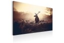 Tavle Lurking Deer 120X80 Artgeist sp. z o. o.