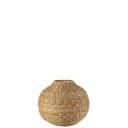 Vase Seagrass