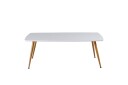 Venture Design Plaza salongbord Hvit 120 x 70 cm Hvit