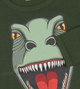 DYR Genser   DYR Brøl   Grønn m. Dinosaur   DYR   8 år 128   Genser