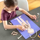 mierEdu Magnetic Learning Box All About Body and Emotion ME097