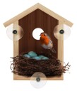 Liniex Bird Explorer