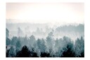 Fototapet Winter Forest 400x280 - Finnes i flere størrelser