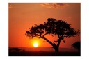 Fototapet Africa Sunset 250x193 - Artgeist sp. z o. o.