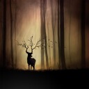 legendes d"automne Poster Plakat / 50x50cm