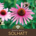 Solhatt   Echinacea   Pulver   250g