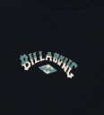 Billabong T-skjorte - Arch Diamonds - Svart - Billabong - 16 år (176) - T-skjorte
