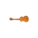 Ortega Guitars Ortega Rfu11ze Concert Ukulele Med Mik, Med Gigbag