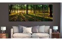 Bilde Shade Of Trees 225x90 Artgeist sp. z o. o.