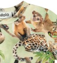 Molo T skjorte   Easy   Jungle Unger   Molo   3 år (98)   T skjorte   Grønn