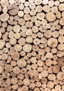 Wood Logs Plakat Plakat / 21x30cm