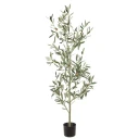 Mr Plant Oliventre 140 cm
