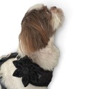 Trufois Blomst til Hund & Katt Svart 217944