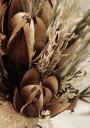 Close Up of Dried Flowers Bouquet  Plakat Plakat / 100x150cm