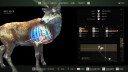 Way of the Hunter - Wild Expeditions PS5
