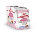Royal Canin Kattunge Våtfôr i Gelé 12x85g - Fullfôr med Vitamin A, D og E