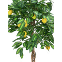 Europalms Lemon Tree, 180cm