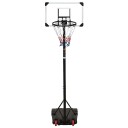 Basketballplate gjennomsiktig 216 250 cm polykarbonat