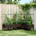 Plantekasse med espalier brun 160x120x142,5 cm PP