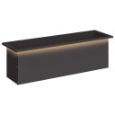vidaXL Hageplantekasse med LED Svart 30 x 100 x 30 cm Stål