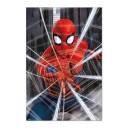 Spider-Man Plakat Gotcha - 91,5 x 61 cm