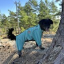 Turkis Heldress Til Hund Snøbeskyttende Dress