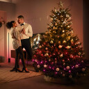Philips Hue Festavia Lyslenke 500 LED