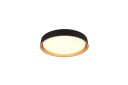 Trio Lighting Taklampe Felis
