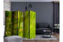 Romdeler Bamboo - Nature Zen II - Artgeist sp. z o. o.