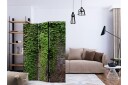 Romdeler - Brick and ivy 135x172 - Artgeist sp. z o. o.