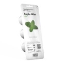 Click and Grow Smart Garden Refill 3-pack Apple Mint SGR79X3