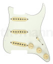 Fender Pre-Wired ST Pickguard Texas