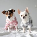 Grå Fleecedress Med Stjerner Til Hund