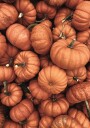 Warm Autumn Pumpkins Plakat Plakat / 70x100cm