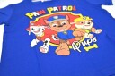 Paw Patrol T-skjorte Pups - 116 / 6 år - Barn - 100% bomull