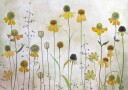 Helenium Plakat Plakat / 70x100cm