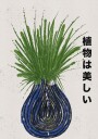 Beautiful Plants Plakat Plakat / 40x50cm