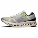 On Cloudsurfer 2 Herre Glacier/Ivory 44.5