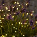 Knirkende lyskjede, 40 LED, 3,9m, klar/grønn