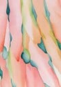 Blush Feathers Plakat Plakat / 30x40cm