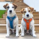 Hurtta Venture No-Pull Hundesele Bilberry 40 45 cm