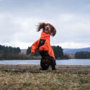 Non-Stop Dogwear Fjord Hundeoverall 33 Oransje