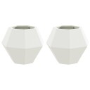 vidaXL Plantekassed 2 pcs Hvit 50 x 50 x 40 cm Stål