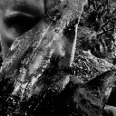 Taake  En Skog av Nidstang  CD