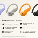 Apple Beats Powerbeats Pro 2 Oransje