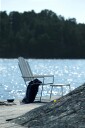 Lenestol A3 Hvit Lakkert Eik / Varmgalvanisert Stål