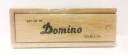 Domino