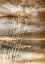 Dried Dreams Poster Plakat / 100x150cm